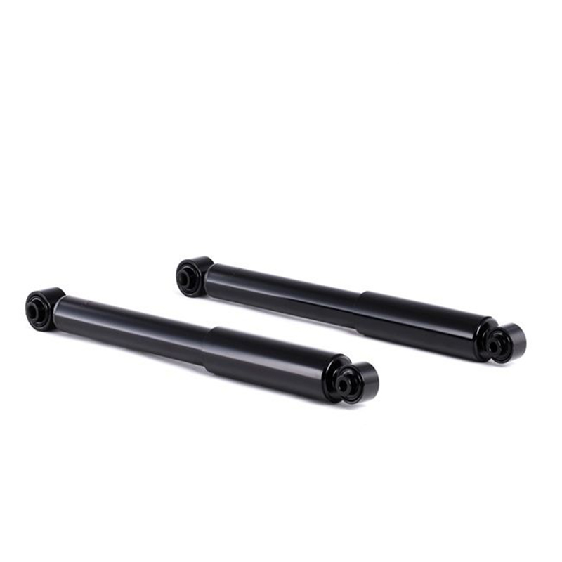 AMORTISSEUR Peugeot 1007 Arrière